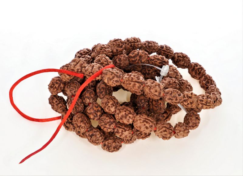 3 Mukhi Rudraksh Mala (Indonesia)