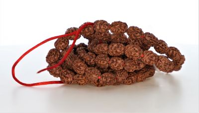 3 Mukhi Rudraksh Mala (Indonesia)