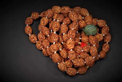 3 Mukhi Rudraksh Mala (Indonesia) With Z Stone