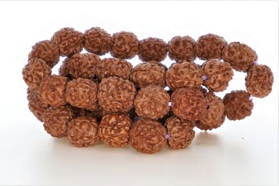 4 Mukhi Rudraksh Mala (Indonesia)