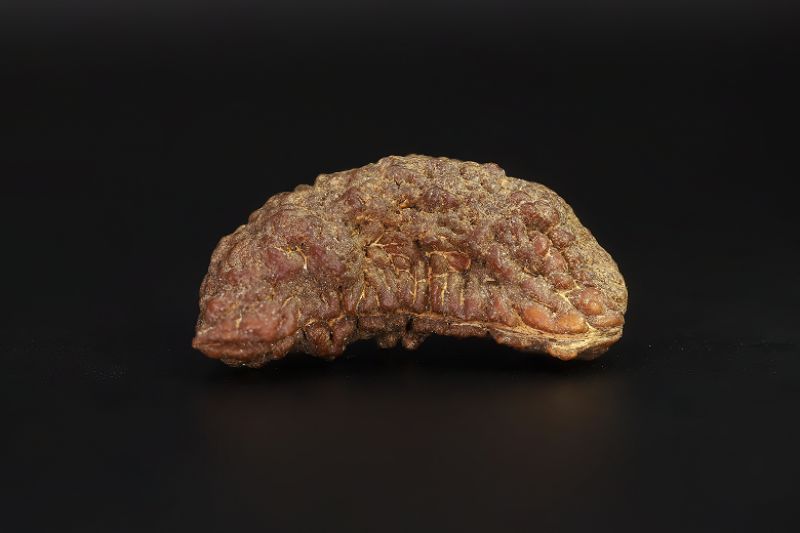 01 Mukhi Rudraksha - 5.68 Gms Weight - Origin - India