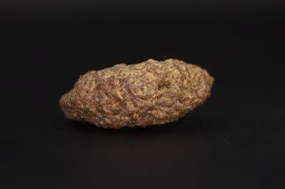 01 Mukhi Rudraksha - 5.68 Gms Weight - Origin - India