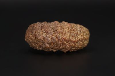 01 Mukhi Rudraksha - 5.37 Gms Weight - Origin - India