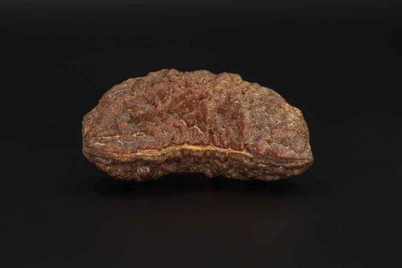 01 Mukhi Rudraksha - 5.37 Gms Weight - Origin - India