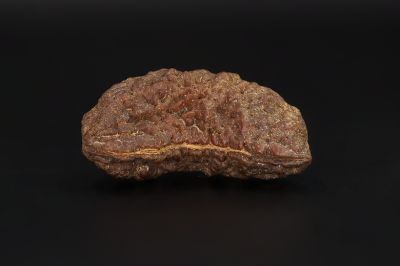 01 Mukhi Rudraksha - 5.37 Gms Weight - Origin - India