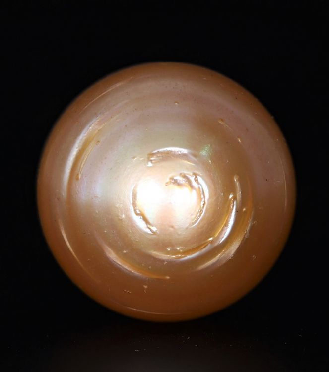 622036 Original Natural Pearl (South Sea) 20 Carat Weight Origin Australia