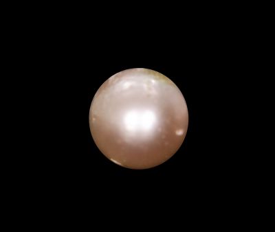 622037 Original Natural Pearl (South Sea) 18 Carat Weight Origin Australia