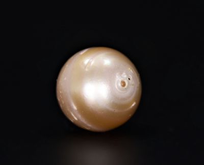 622038 Original Natural Pearl (South Sea) 20.5 Carat Weight Origin Australia