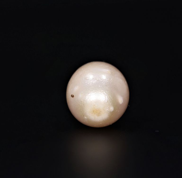 622039 Original Natural Pearl (South Sea) 14.5 Carat Weight Origin Australia