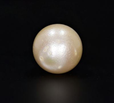 622047 Original Natural Pearl (South Sea) 19 Carat Weight Origin Australia