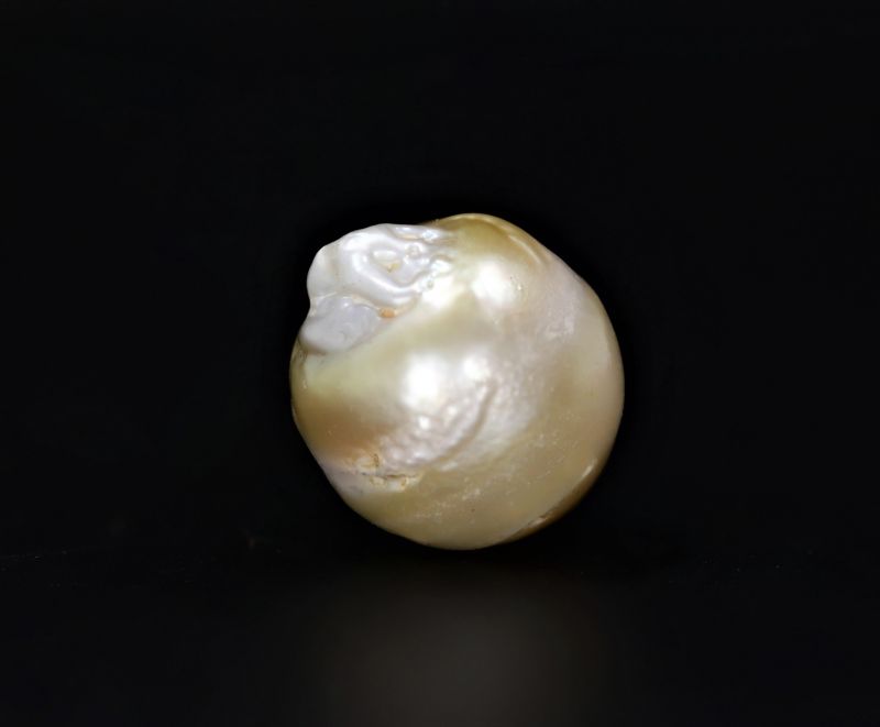 622051 Original Natural Pearl (South Sea) 19.25 Carat Weight Origin Australia