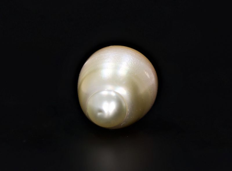 622052 Original Natural Pearl (South Sea) 14.5 Carat Weight Origin Australia