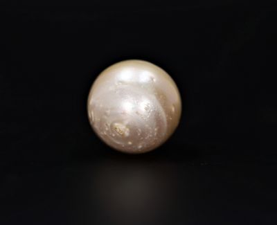 622053 Original Natural Pearl (South Sea) 19.25 Carat Weight Origin Australia