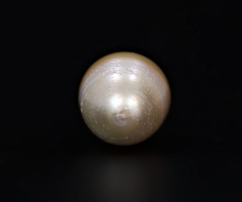 622058 Certified Natural Pearl (South Sea) 19.25 Carat Weight Origin Australia