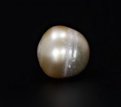 622058 Certified Natural Pearl (South Sea) 19.25 Carat Weight Origin Australia