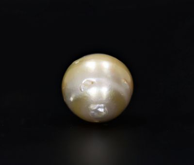 622059 Certified Natural Pearl (South Sea) 15.75 Carat Weight Origin Australia