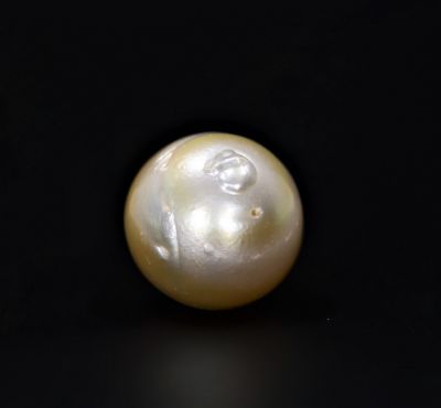 622059 Certified Natural Pearl (South Sea) 15.75 Carat Weight Origin Australia