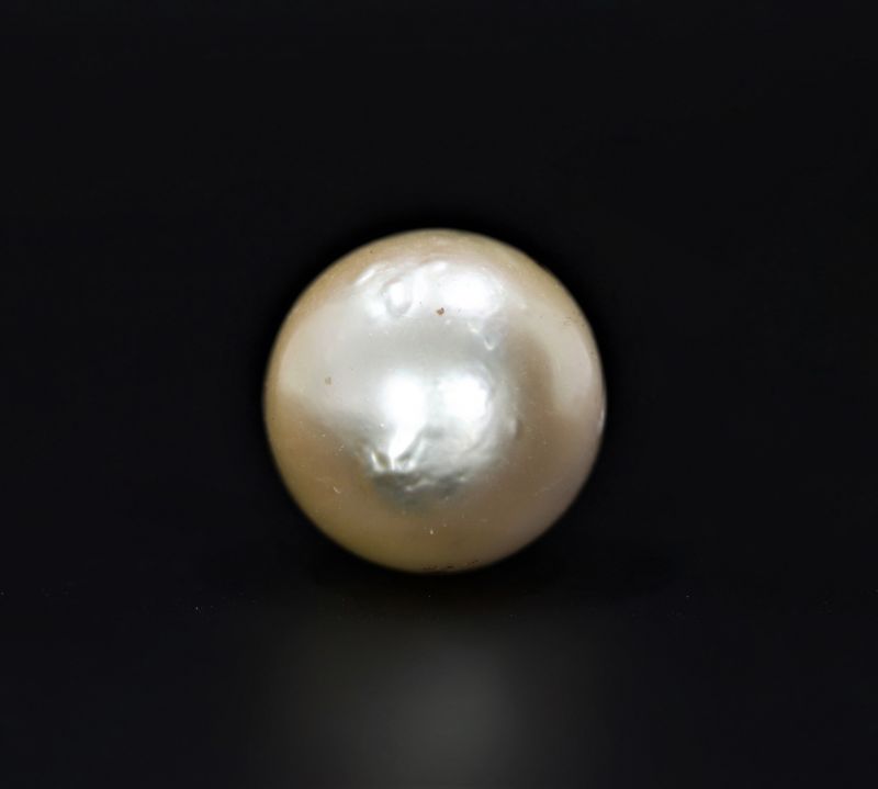 622061 Certified Natural Pearl (South Sea) 18.75 Carat Weight Origin Australia