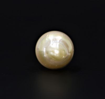 622062 Certified Natural Pearl (South Sea) 14.5 Carat Weight Origin Australia