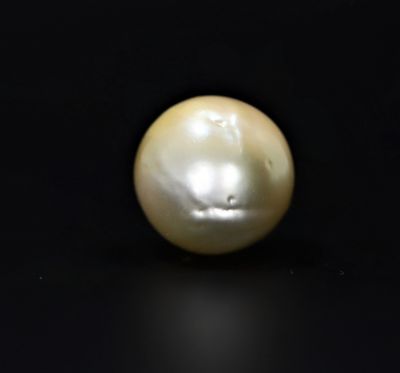 622064 Certified Natural Pearl (South Sea) 21 Carat Weight Origin Australia