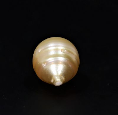 622067 Certified Natural Pearl (South Sea) 14.75 Carat Weight Origin Australia