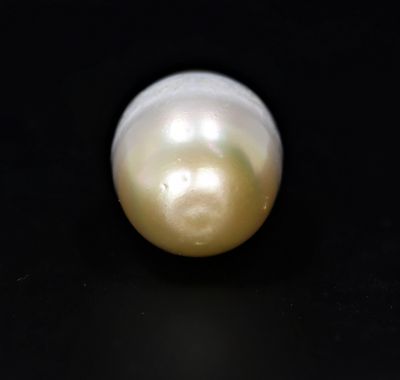 622068 Certified Natural Pearl (South Sea) 28 Carat Weight Origin Australia