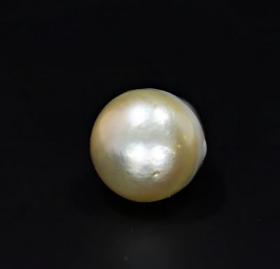 622070 Certified Natural Pearl (South Sea) 15.25 Carat Weight Origin Australia