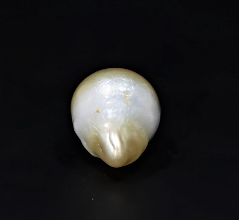 622070 Certified Natural Pearl (South Sea) 15.25 Carat Weight Origin Australia