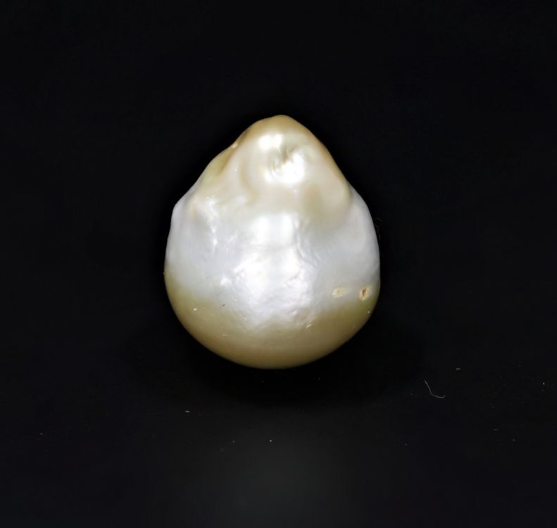 622070 Certified Natural Pearl (South Sea) 15.25 Carat Weight Origin Australia