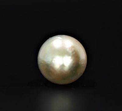 622071 Certified Natural Pearl (South Sea) 19.25 Carat Weight Origin Australia