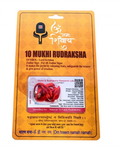 Rudraksha 10 Mukhi  Brown - 1.65 Gram  Weight - Origin - Nepal