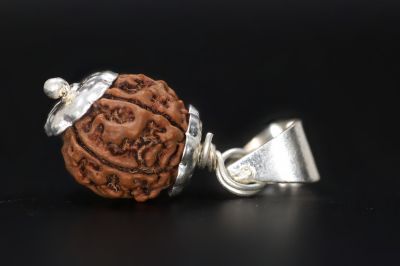 7 Mukhi Rudraksha - 3.49 Gram Weight - Origin - Nepal