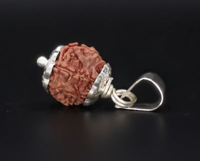 7 Mukhi Rudraksha - 4.03 Gram Weight - Origin - Nepal