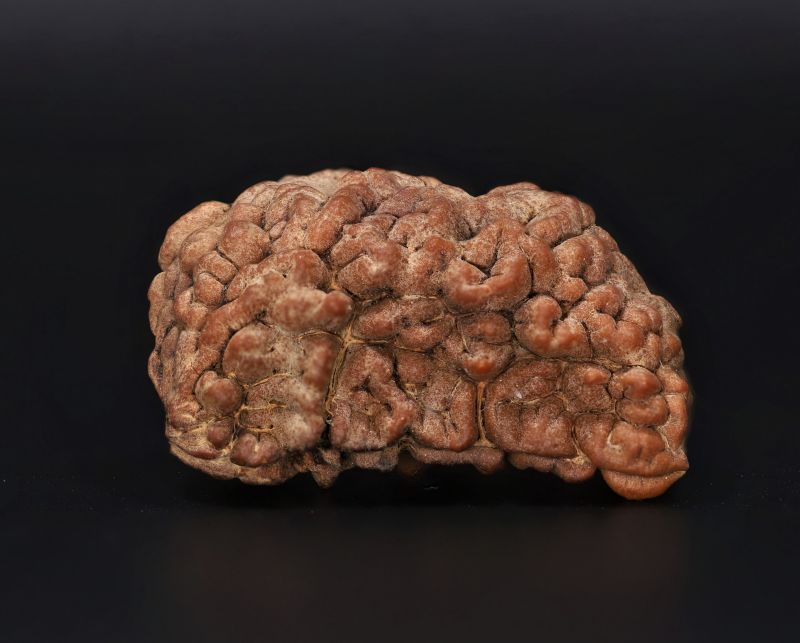 Rudraksha 1 Mukhi  Brown - 5.06 Gram Weight - Origin - Nepal