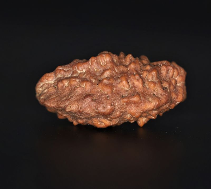 Rudraksha 1 Mukhi  Brown - 3.90 Gram Weight - Origin - Nepal