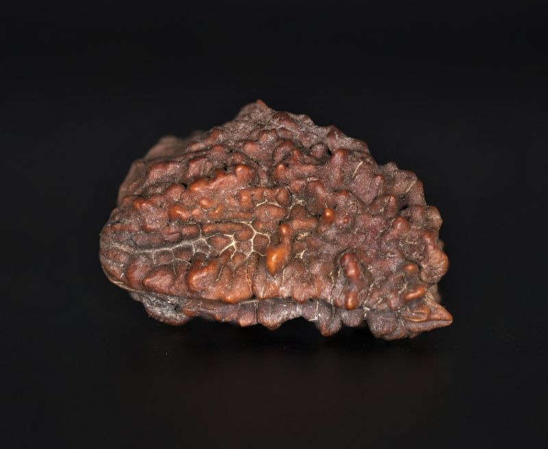 Rudraksha 1 Mukhi  Brown-4.57 Gram Weight-Origin-Nepal