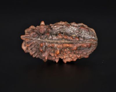 Rudraksha 1 Mukhi  Brown-4.57 Gram Weight-Origin-Nepal