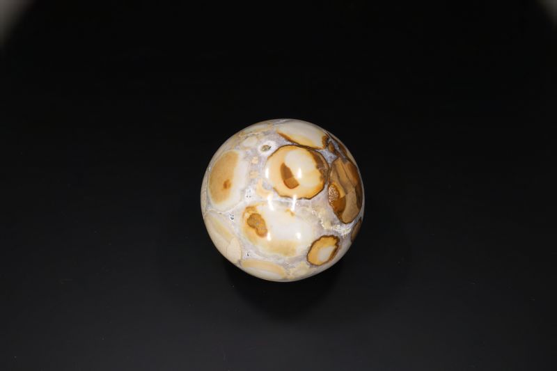 Petrified Wood Ball-RPSB2021_19