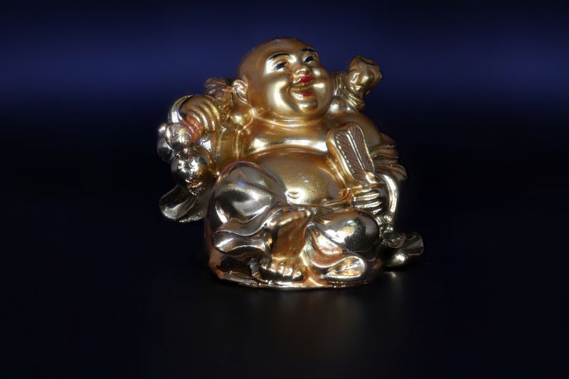 Lafin Buddha-99 Gram-SJRER_PS_157