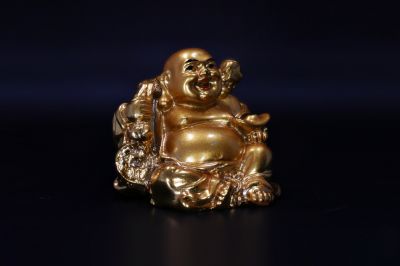 Lafin Buddha-102 Gram-SJRER_PS_159