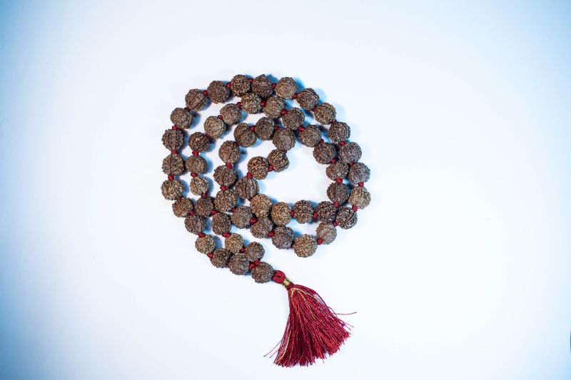 Seven mukhi Rudraksha Mala