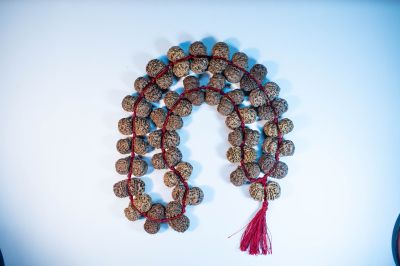 Gauri Shankar Rudraksha Mala