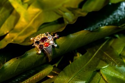 Navratna Silver (turtle) Ring