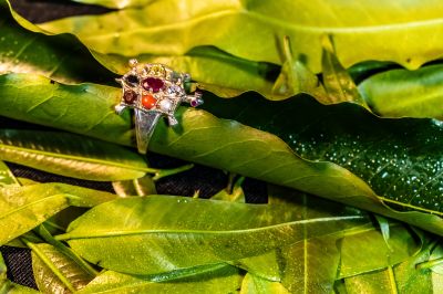 Navratna Silver (turtle) Ring