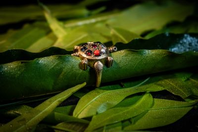 Navratna Panchdhatu Tortoise Ring-A22070