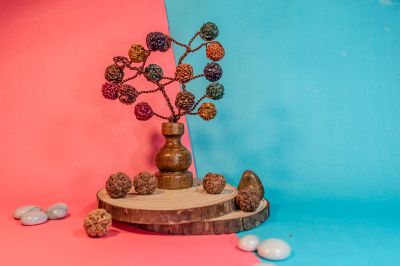 Rudraksha coloured tree-A22071