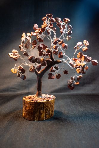 Red Jade Tree