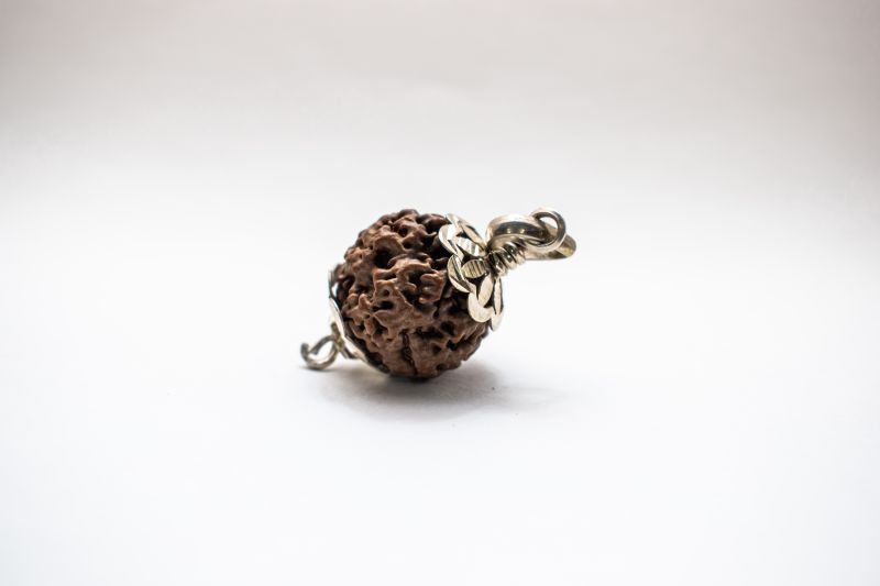 1 Mukhi Lab Certified Rudraksha-A22110