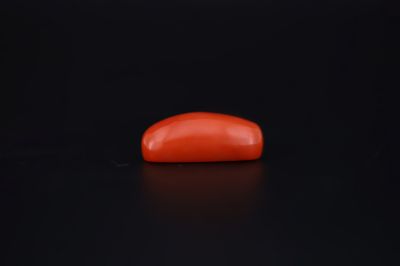 Natural Red Coral ( Munga)-10.500 Carat Weight Origin Italy-A22120