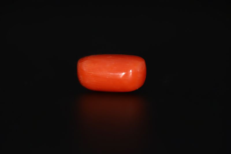 Natural Red Coral ( Munga)-13.615 Carat Weight Origin Italy-A22122